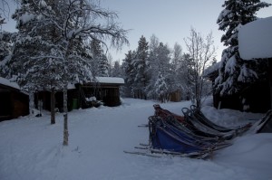 Ein etwas größeres Camp, das Platz für 3 Gruppen bietet
