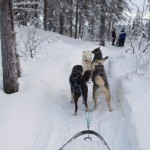 Kurze Rast, doch gleich schon geht es weiter