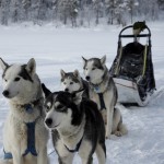 Aufnahme von Caro kompletten Team