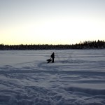 Der Tag startet stets mit der Versorgung der Hunde