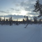Einsamer Trail bei Sonnenaufgang im Lappland