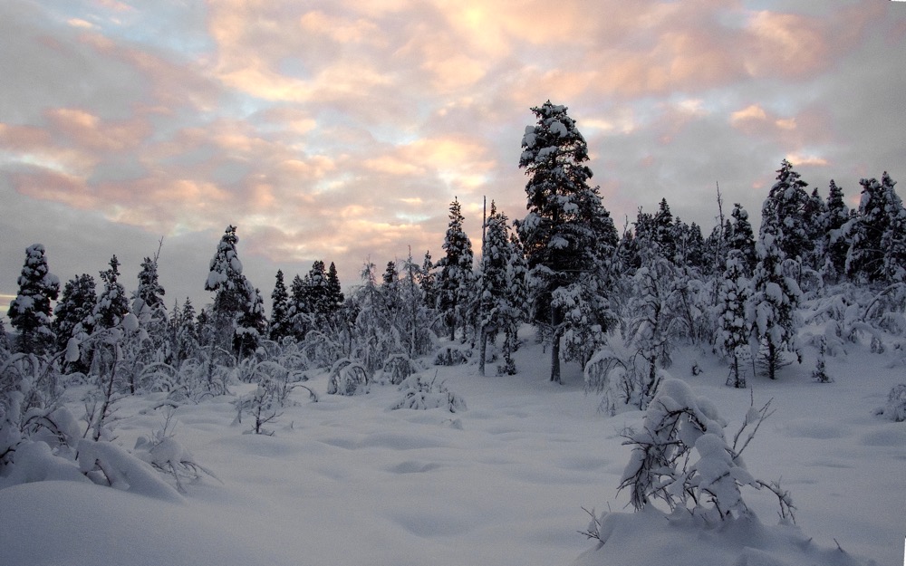 Die erste Sonne über dem Lappland nach der Polarnacht