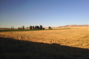 Felder, die von den letzten Sonnenstrahlen in leuchtendes Gelb getaucht werden