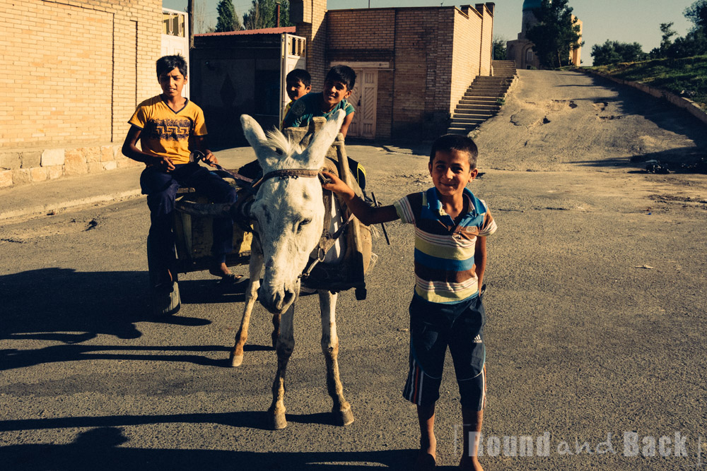 Mehrere Jungs die grade mit einem Esels-Karren unterwegs sind. Samarkand, Usbekistan.